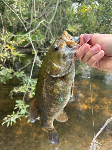 3944 S Brenlor Drive, Hesperia Vlg, MI 49421