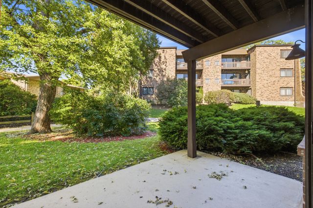 1130 E Randville Drive 1B, Palatine, IL 60074