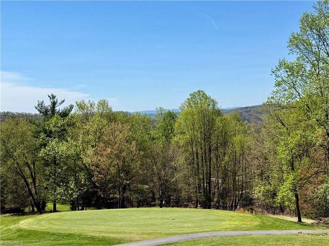 217 Fairview Drive, Traphill, NC 28685
