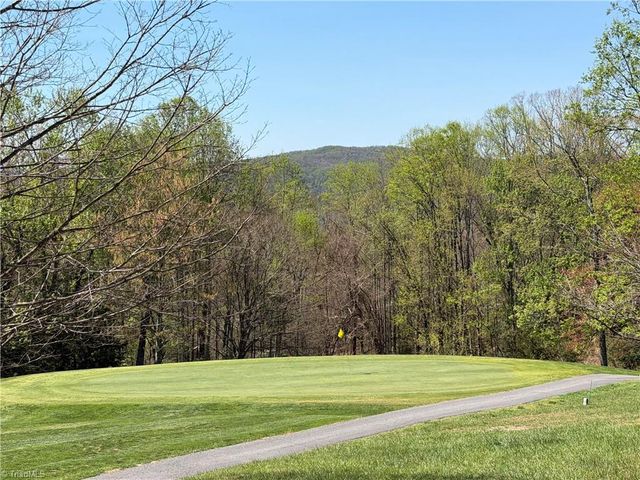 217 Fairview Drive, Traphill, NC 28685