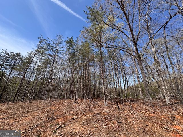 0 Highway 129 N, Cleveland, GA 30528