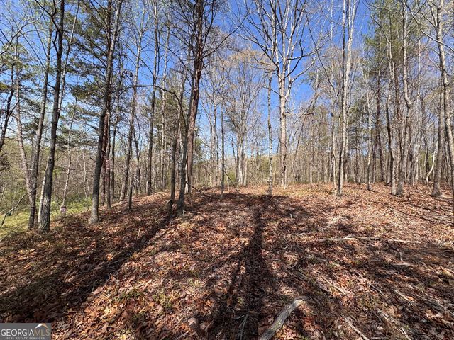 0 Highway 129 N, Cleveland, GA 30528