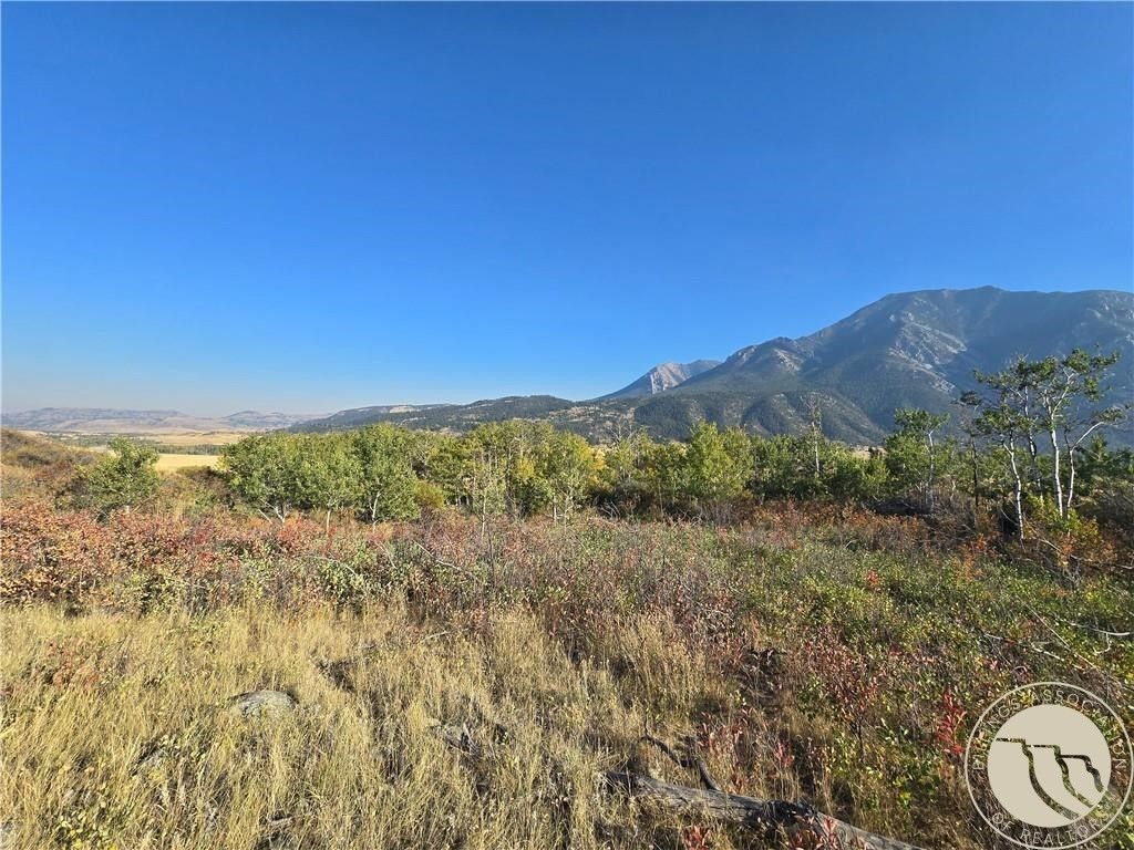 18 Elk Park Trail, Nye, MT 59061 photo 10