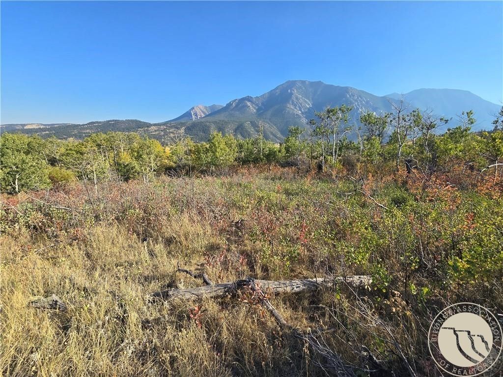 18 Elk Park Trail, Nye, MT 59061 photo 11