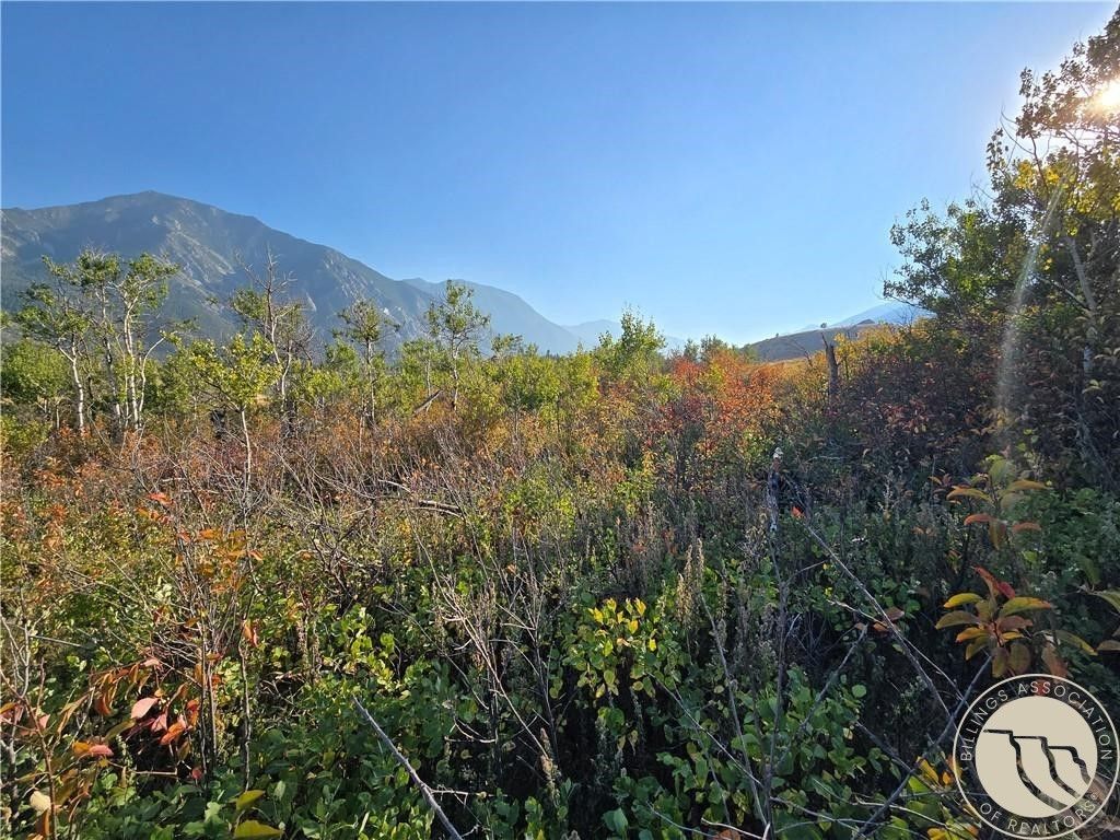 18 Elk Park Trail, Nye, MT 59061 photo 13