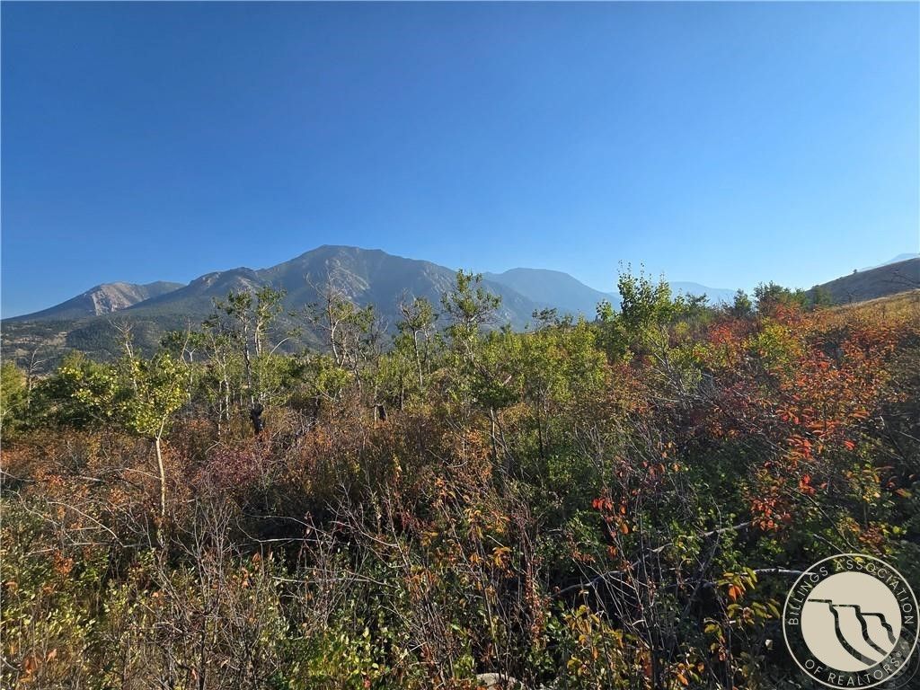 18 Elk Park Trail, Nye, MT 59061 photo 16