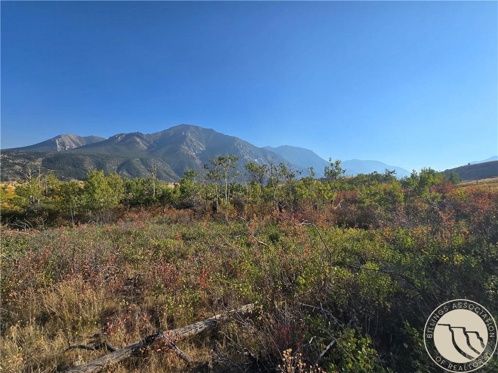 18 Elk Park Trail, Nye, MT 59061 photo 17