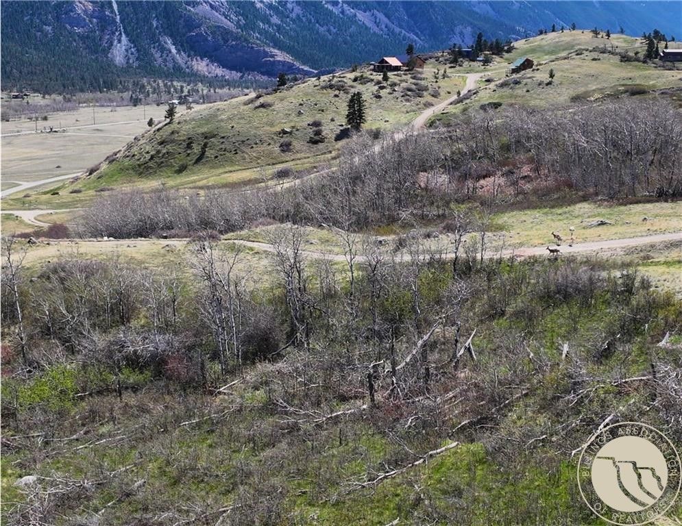 18 Elk Park Trail, Nye, MT 59061 photo 4