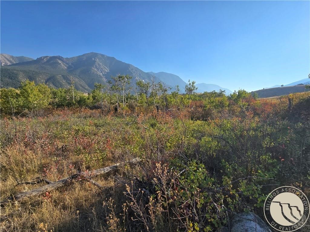 18 Elk Park Trail, Nye, MT 59061 photo 7