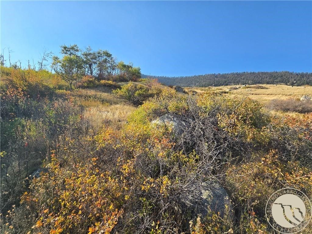 18 Elk Park Trail, Nye, MT 59061 photo 9