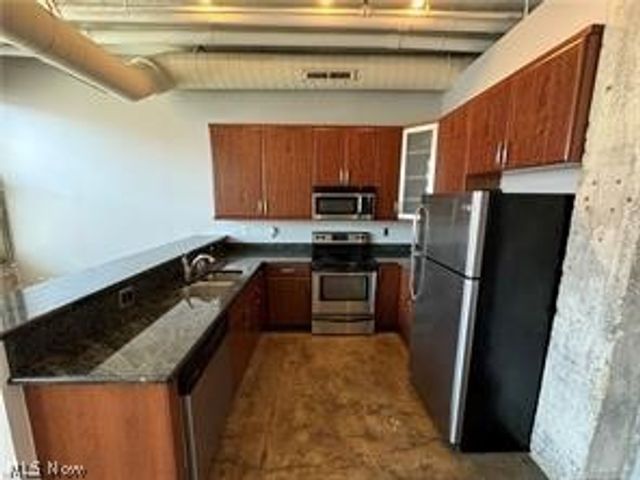 1104 E Prospect Avenue E 305, Cleveland, OH 44115