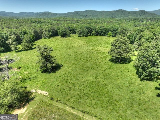 4238 Mobile Road, Mccaysville, GA 30555