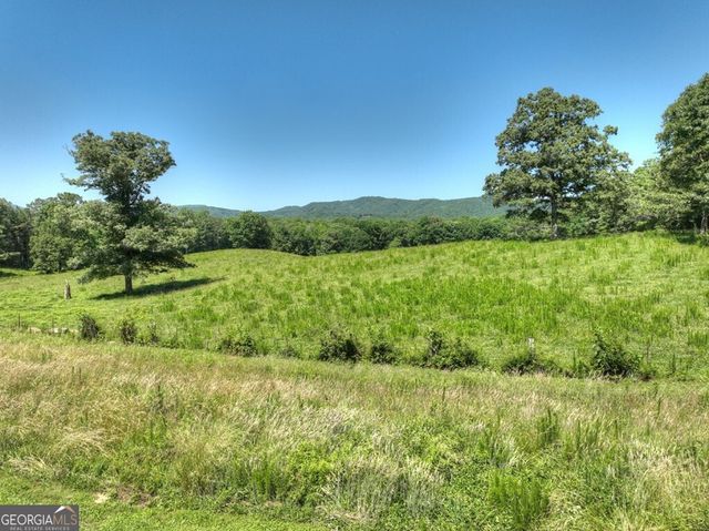 4238 Mobile Road, Mccaysville, GA 30555