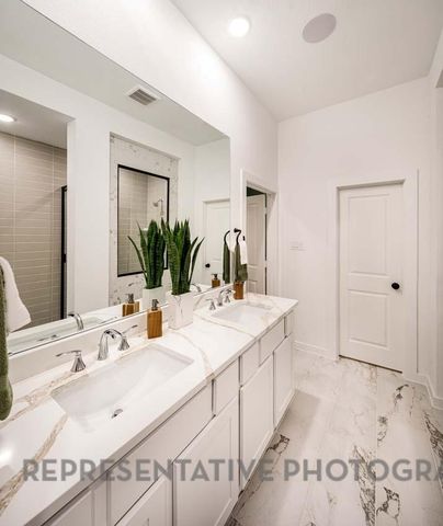 113 Cypress Pond Place, Montgomery, TX 77316