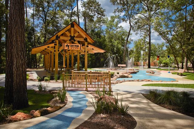 113 Cypress Pond Place, Montgomery, TX 77316