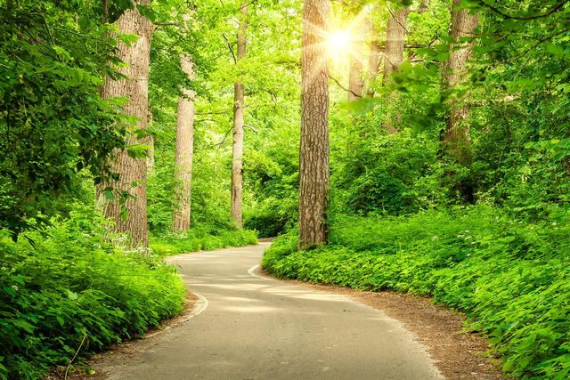 113 Cypress Pond Place, Montgomery, TX 77316