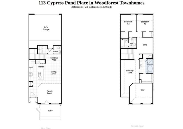 113 Cypress Pond Place, Montgomery, TX 77316