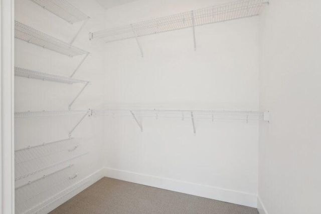 2XX Stonebrooke Curve, Shakopee, MN 55379