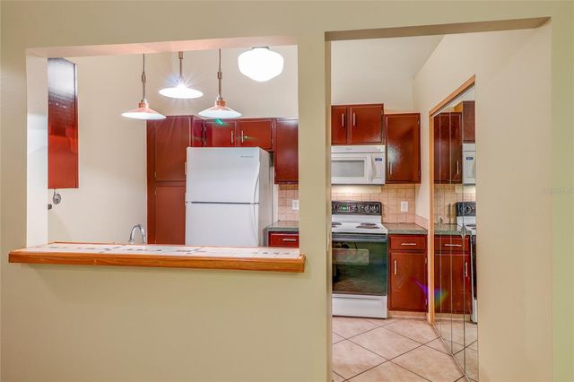 5100 BURCHETTE ROAD 1607, Tampa, FL 33647