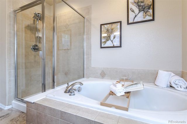 11055 Chesmore Street, Littleton, CO 80130