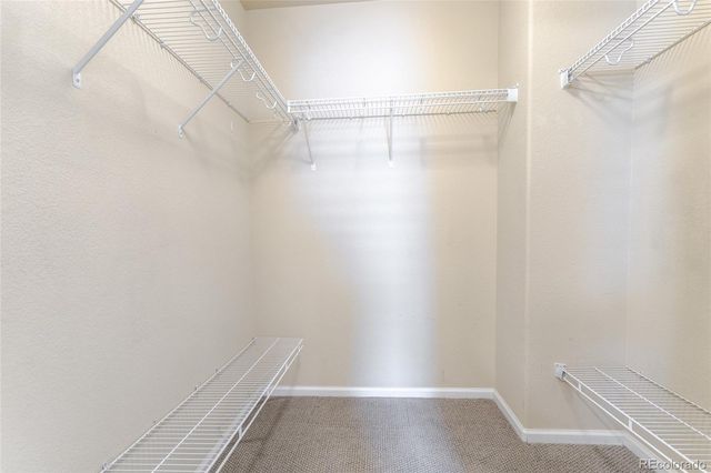 11055 Chesmore Street, Littleton, CO 80130