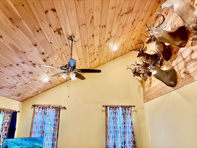 915 Oscar Morgan Road, Strunk, KY 42649