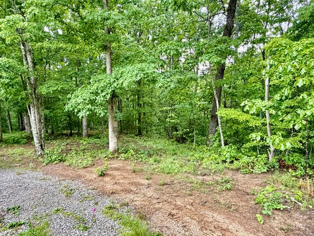 915 Oscar Morgan Road, Strunk, KY 42649