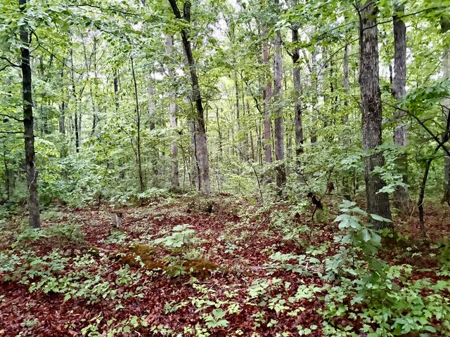 915 Oscar Morgan Road, Strunk, KY 42649