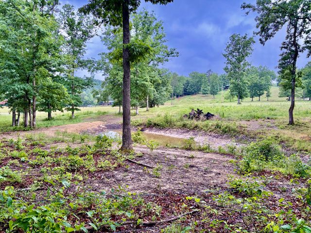 915 Oscar Morgan Road, Strunk, KY 42649