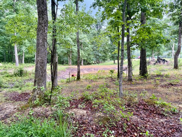 915 Oscar Morgan Road, Strunk, KY 42649