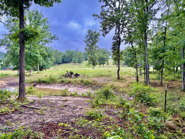 915 Oscar Morgan Road, Strunk, KY 42649