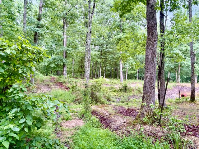 915 Oscar Morgan Road, Strunk, KY 42649