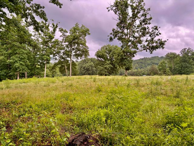 915 Oscar Morgan Road, Strunk, KY 42649