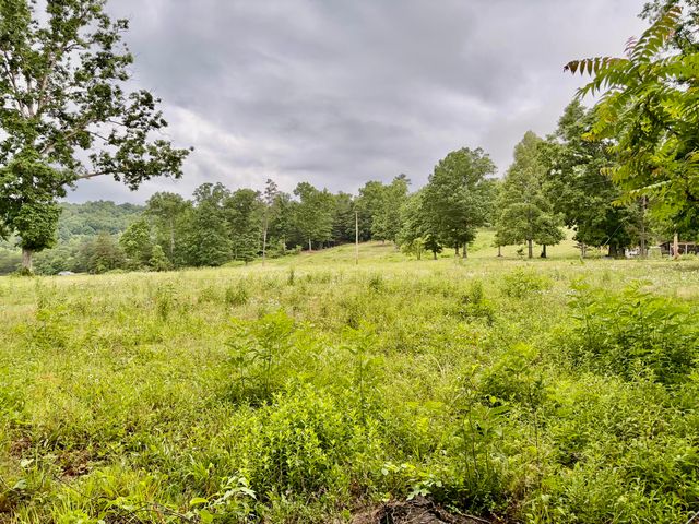 915 Oscar Morgan Road, Strunk, KY 42649