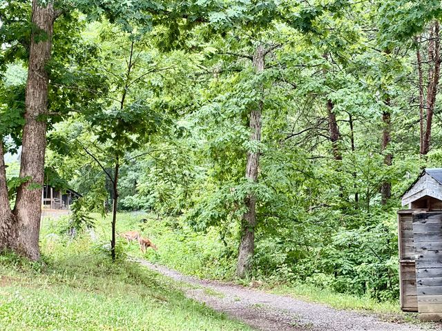 915 Oscar Morgan Road, Strunk, KY 42649
