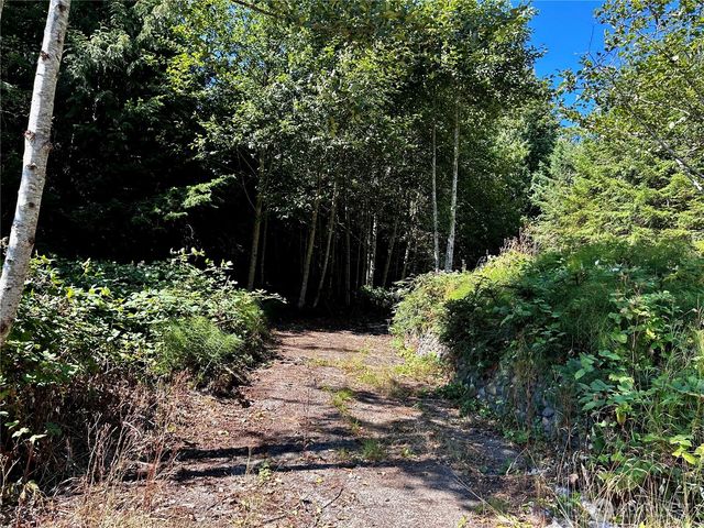 11 Williams Court, Brinnon, WA 98320