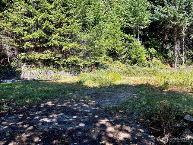 11 Williams Court, Brinnon, WA 98320