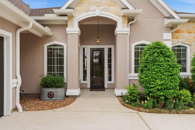 12323 Longmire Cove, Conroe, TX 77304