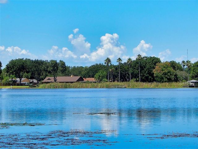 3017 BAY LAKE ROAD, Orlando, FL 32808