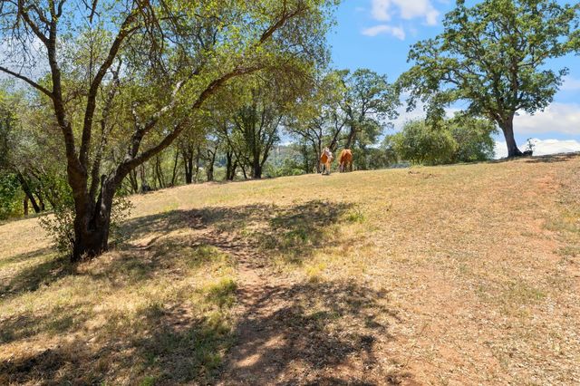 7500 Autumn Wind Ct, Newcastle, CA 95658