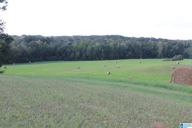 2865 JENIFER ROAD, Munford, AL 36268