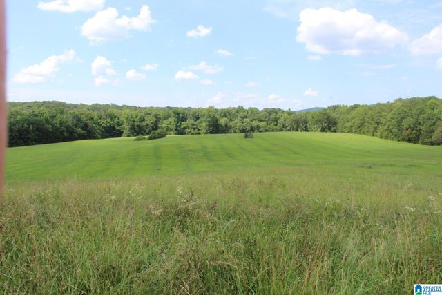 2865 JENIFER ROAD, Munford, AL 36268