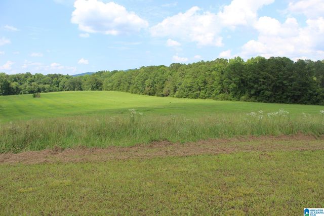 2865 JENIFER ROAD, Munford, AL 36268