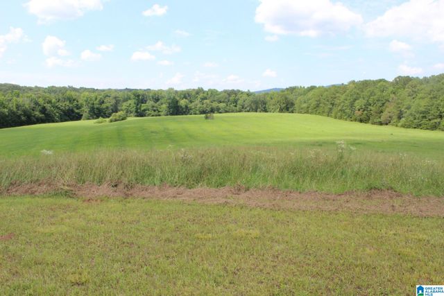 2865 JENIFER ROAD, Munford, AL 36268