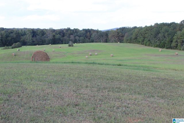 2865 JENIFER ROAD, Munford, AL 36268