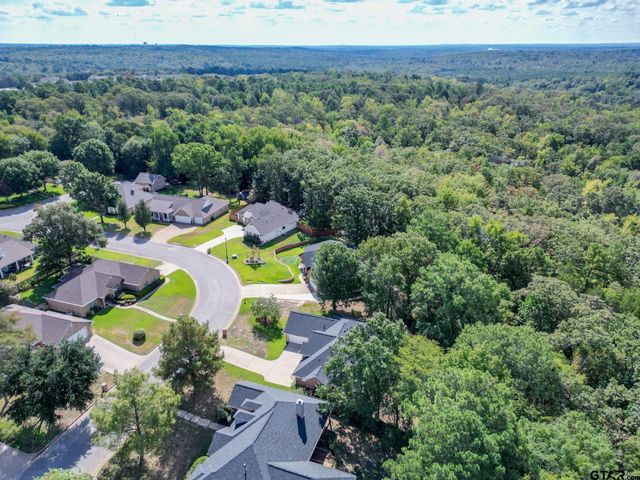 3979 Chapel Woods, Tyler, TX 75707