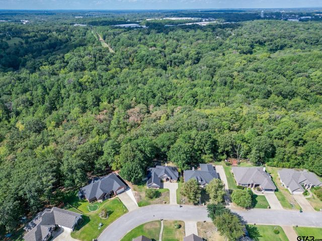 3979 Chapel Woods, Tyler, TX 75707