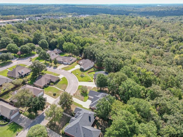 3979 Chapel Woods, Tyler, TX 75707