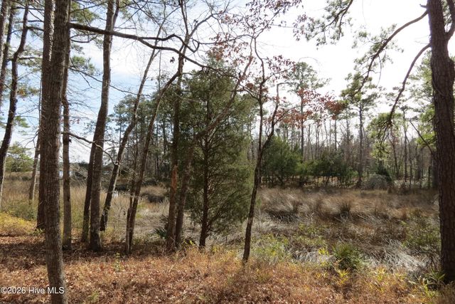 280 Winding Creek Drive, Oriental, NC 28571