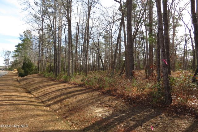 280 Winding Creek Drive, Oriental, NC 28571